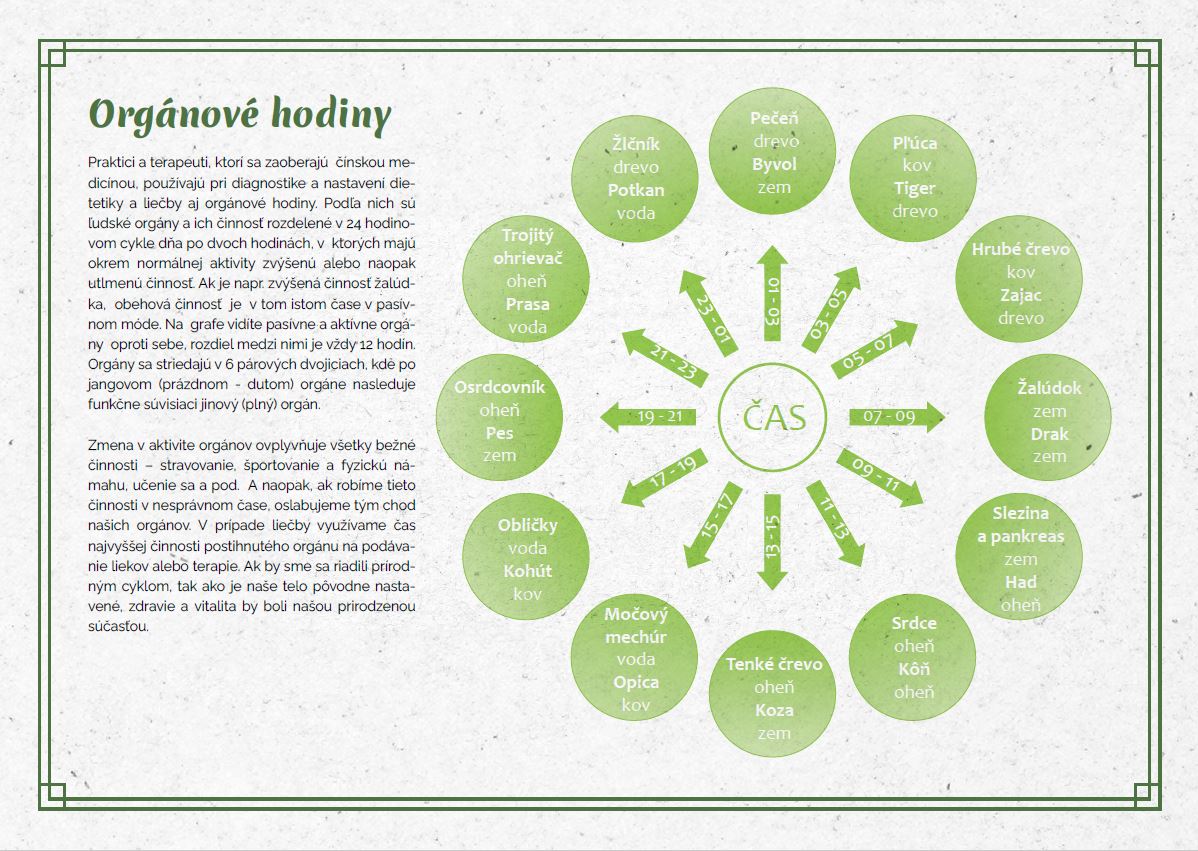 Kalendár almanach feng šuej 2025 - orgánové hodiny